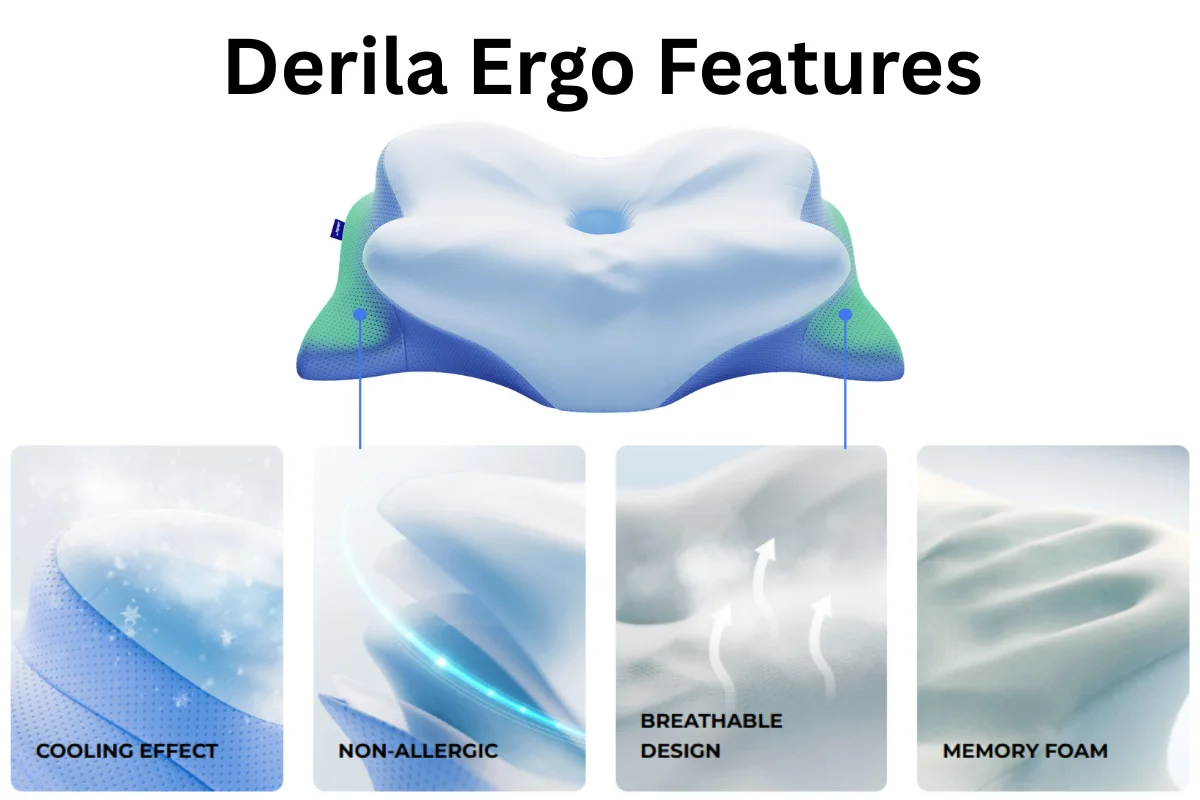 feature-of-Derila-Ergo-Pillow